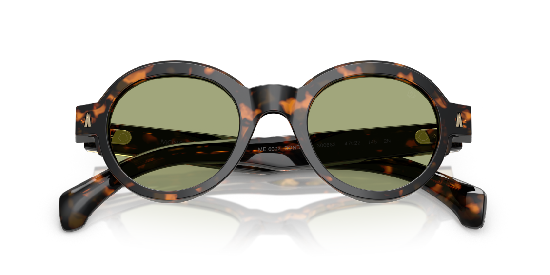Солнцезащитные очки Moncler Rondosa ME6003 300682