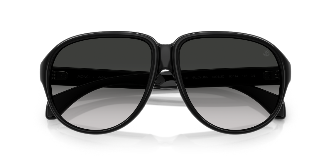 Солнцезащитные очки Moncler Halcyonne ME8001 50013C