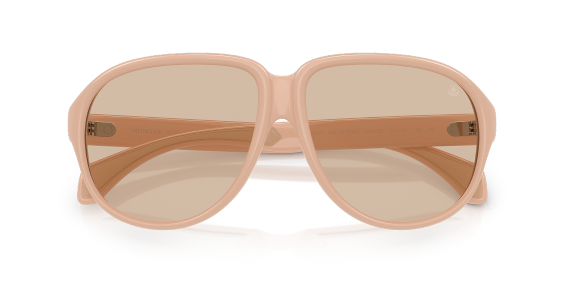 Солнцезащитные очки Moncler Halcyonne ME8001 500493