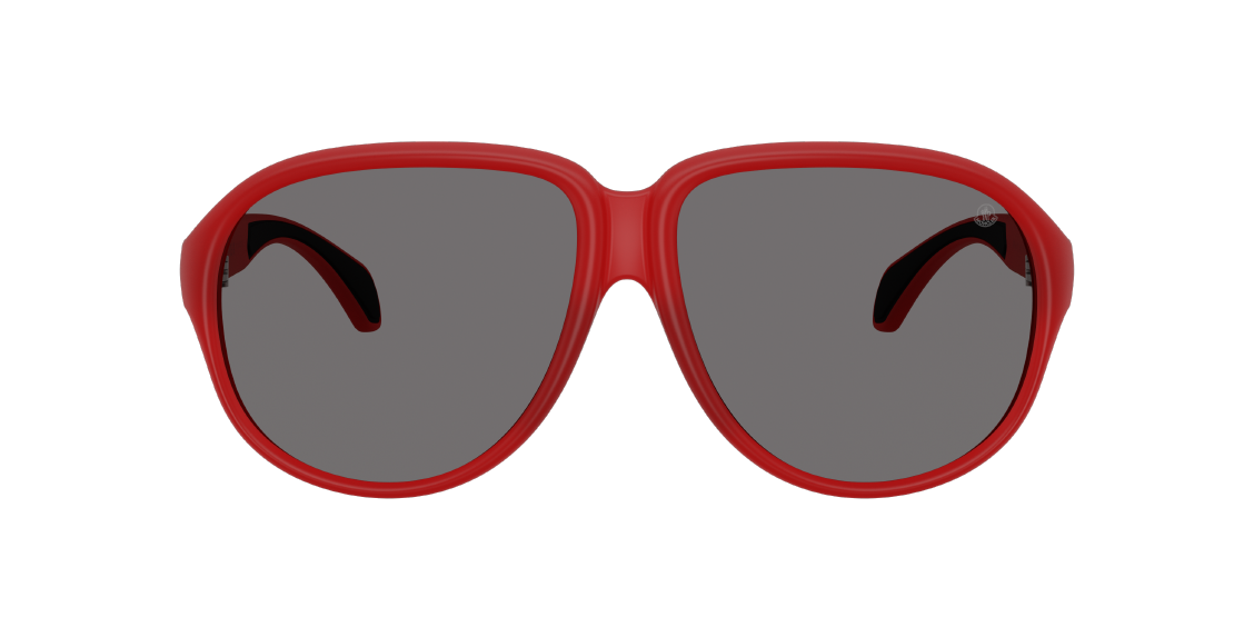 Солнцезащитные очки Moncler Halcyonne ME8001 500581