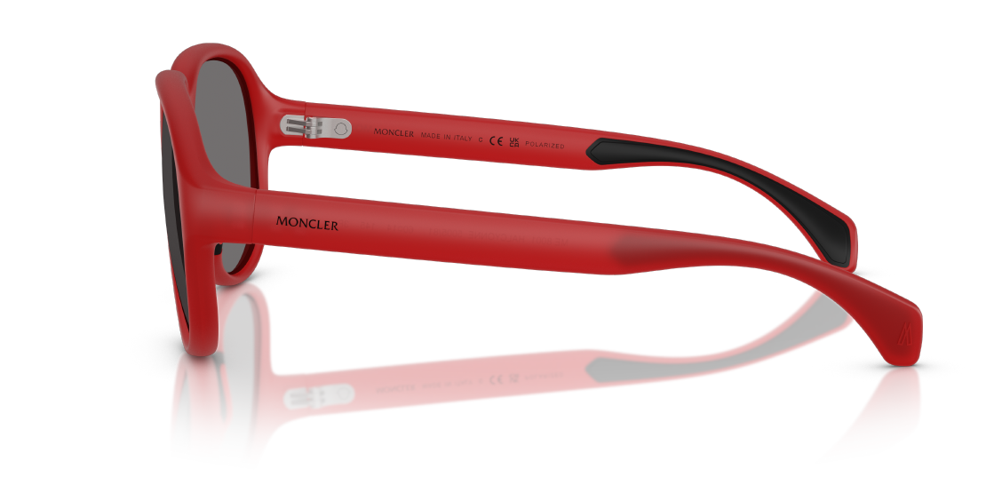 Солнцезащитные очки Moncler Halcyonne ME8001 500581