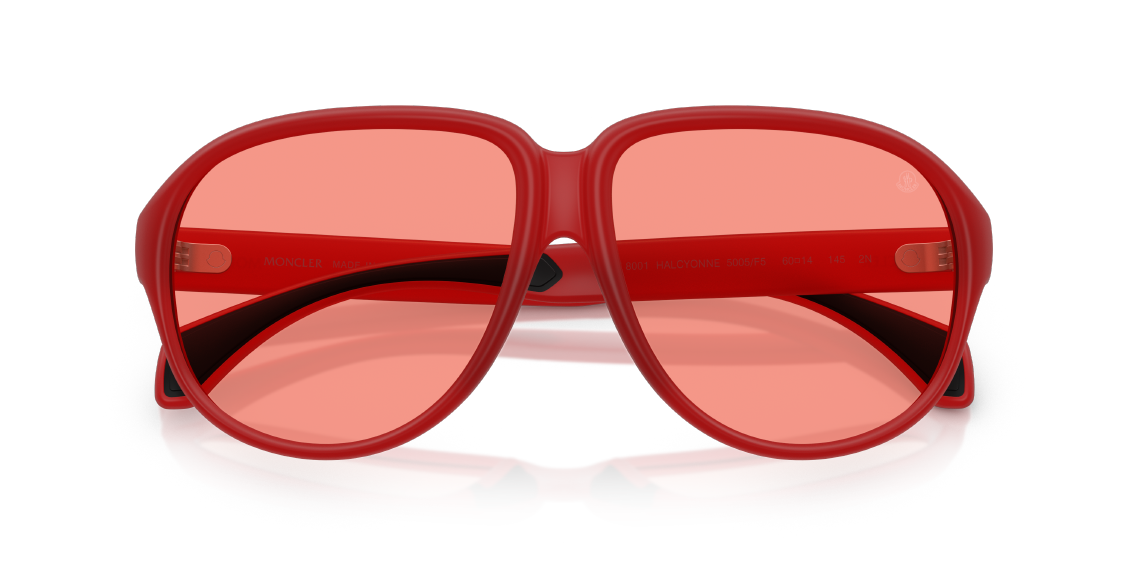 Солнцезащитные очки Moncler Halcyonne ME8001 5005F5