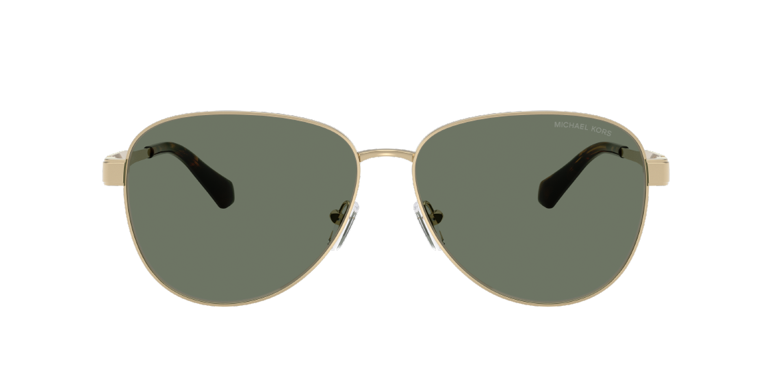 Солнцезащитные очки Michael Kors Biarritz MK1160 10143H