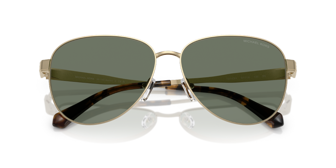 Солнцезащитные очки Michael Kors Biarritz MK1160 10143H