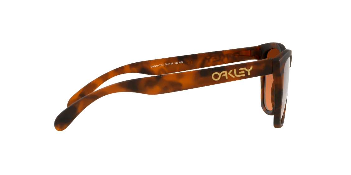 Oakley Frogskins (A) OO9245 9245D1