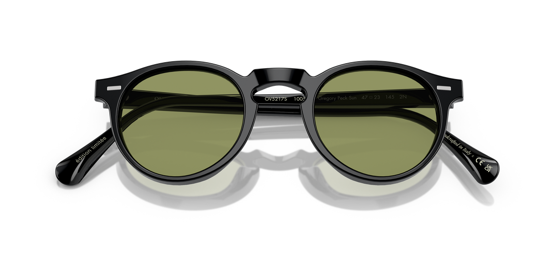 Солнцезащитные очки Oliver Peoples Gregory Peck Sun OV5217S 10054E