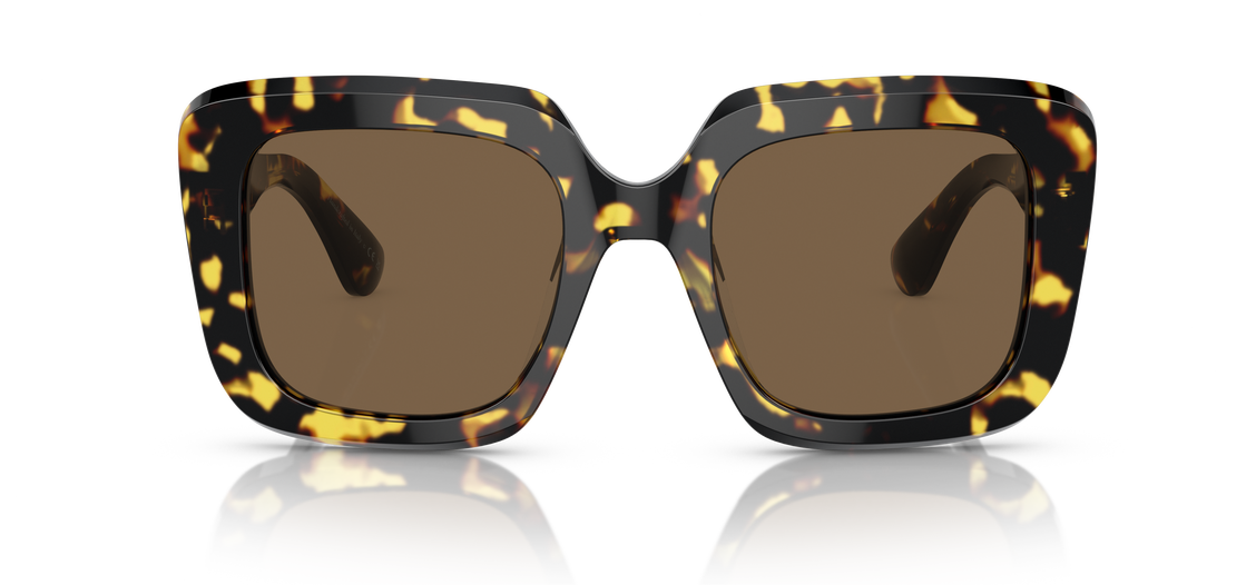 Солнцезащитные очки Oliver Peoples Franca OV5443SU 140773