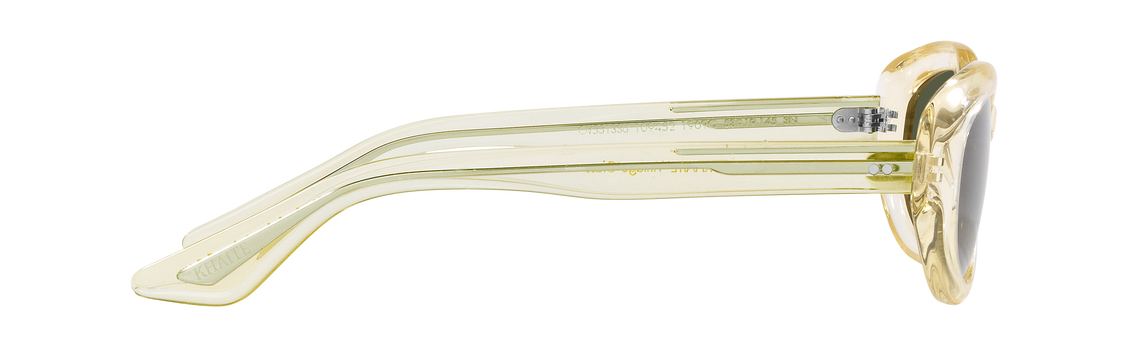 Солнцезащитные очки Oliver Peoples 1969C OV5513SU 109452