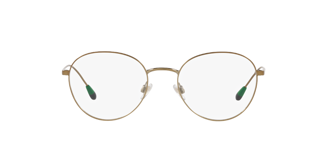 Оптическая оправа Polo PH1208 9324