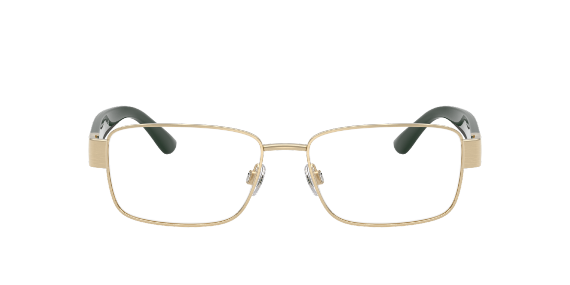 Оптическая оправа Polo PH1239 9211