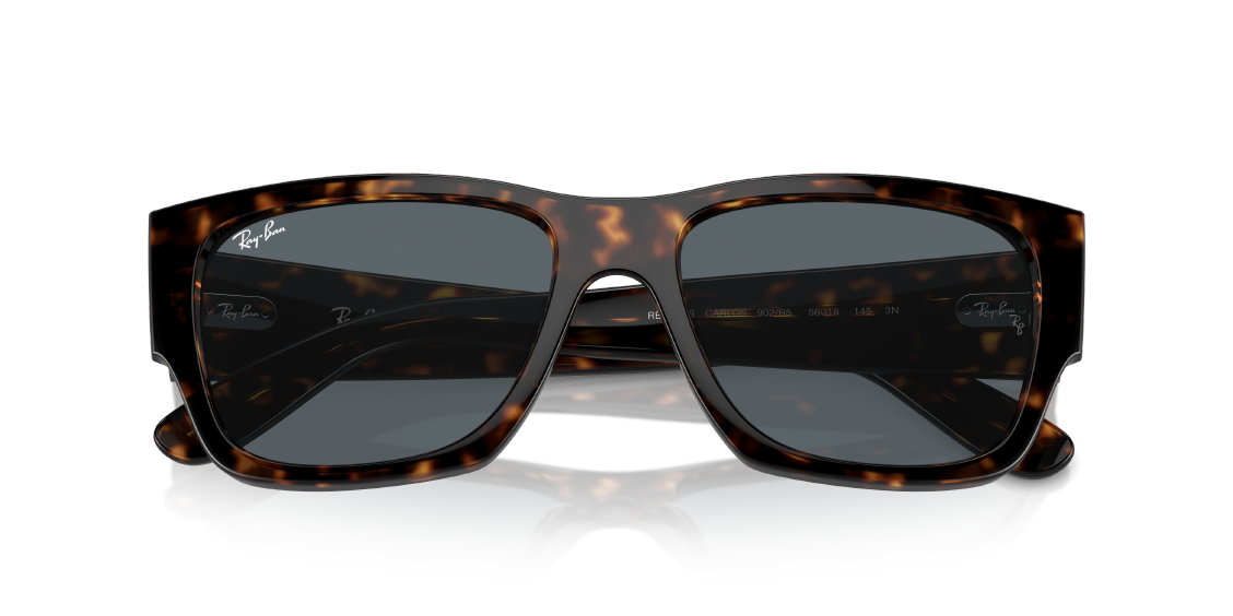 Солнцезащитные очки Ray-Ban Carlos RB0947S 902/R5