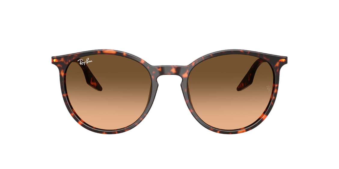 Солнцезащитные очки Ray-Ban RB2204 14293B