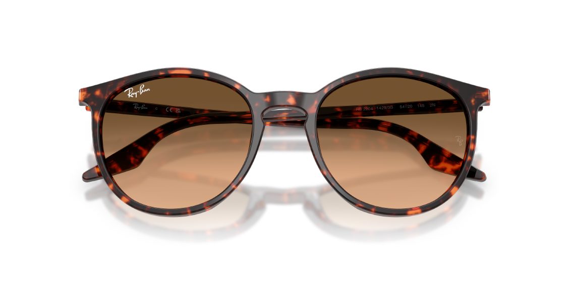 Солнцезащитные очки Ray-Ban RB2204 14293B