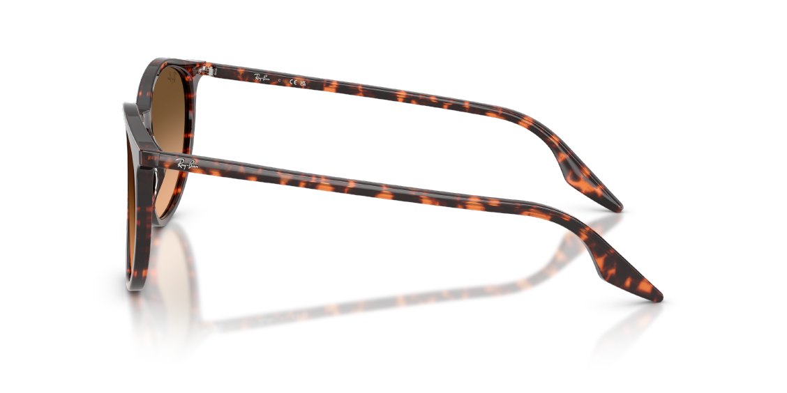 Солнцезащитные очки Ray-Ban RB2204 14293B