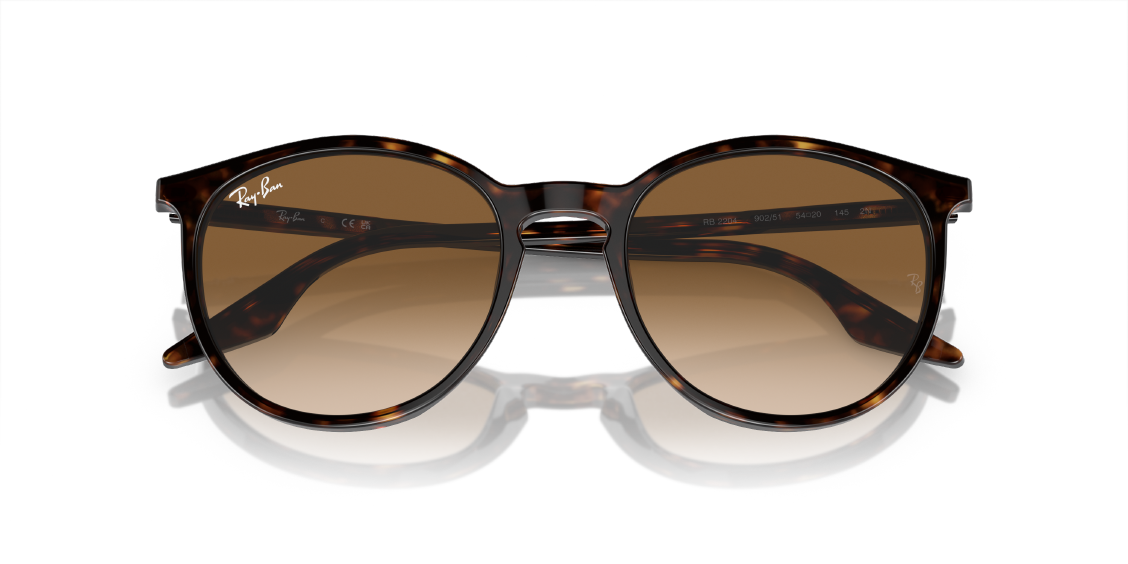 Солнцезащитные очки Ray-Ban RB2204 902/51