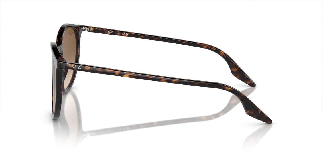 Солнцезащитные очки Ray-Ban RB2204 902/51