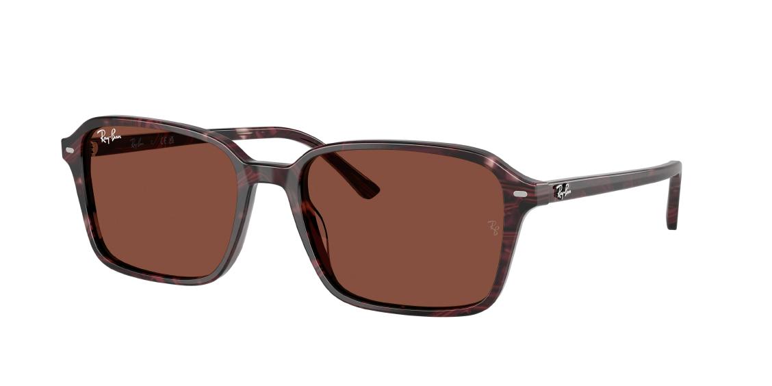Солнцезащитные очки Ray-Ban Raimond RB2231 1416C5