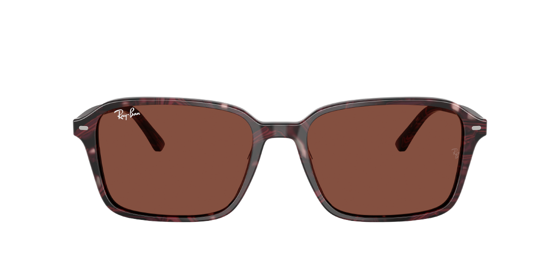 Солнцезащитные очки Ray-Ban Raimond RB2231 1416C5