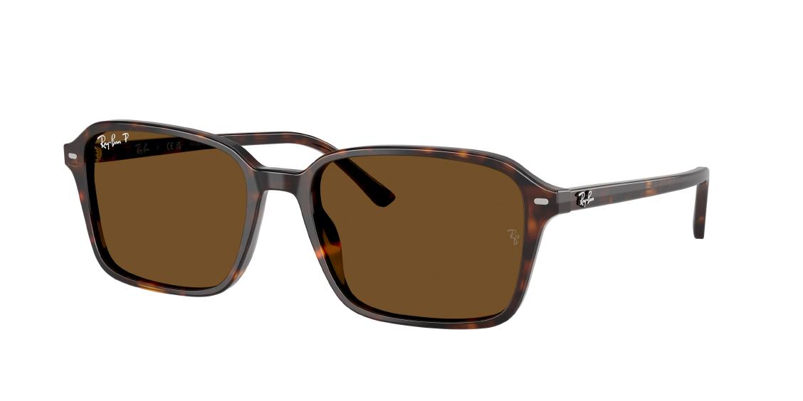 Солнцезащитные очки Ray-Ban Raimond RB2231 902/57
