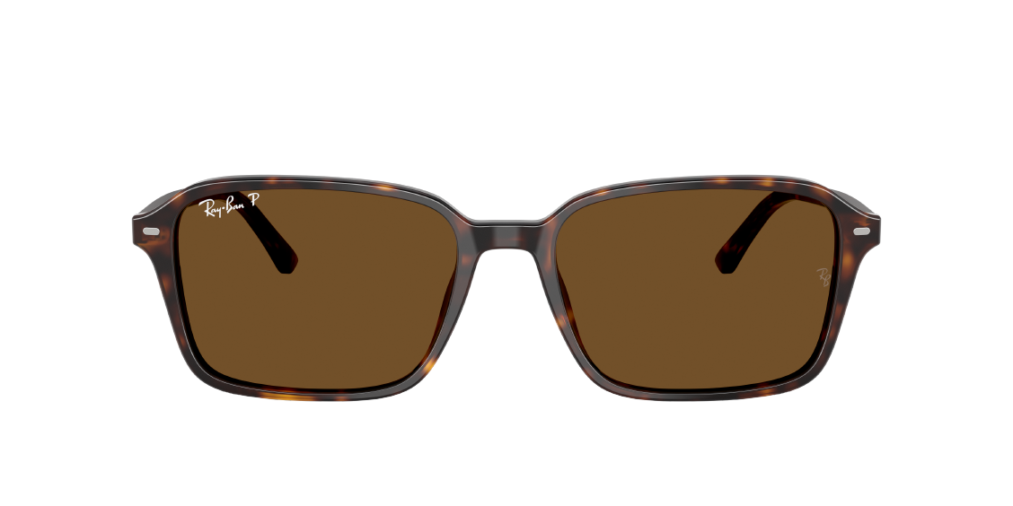 Солнцезащитные очки Ray-Ban Raimond RB2231 902/57