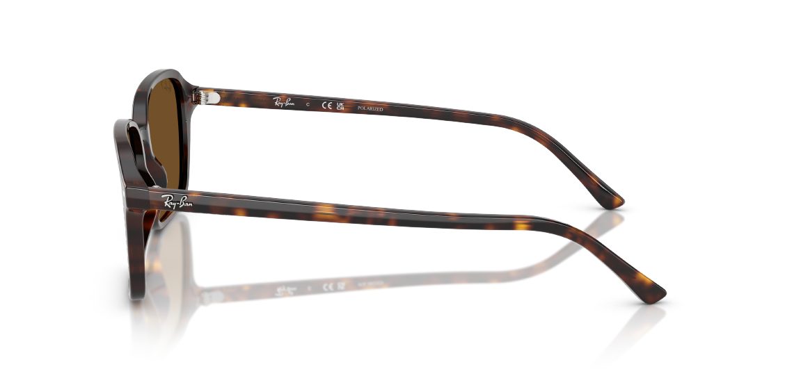 Солнцезащитные очки Ray-Ban Raimond RB2231 902/57