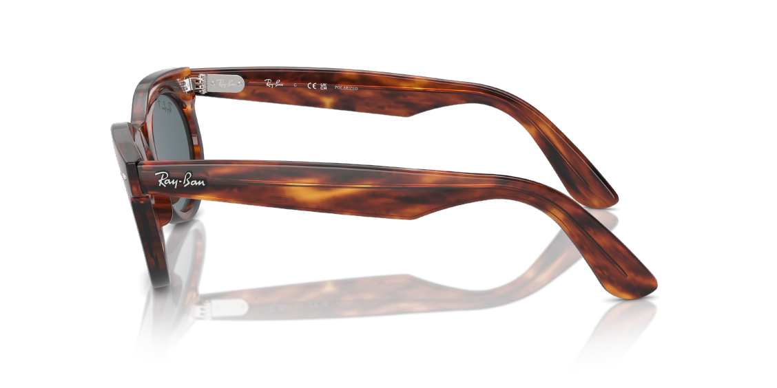 Солнцезащитные очки Ray-Ban Wayfarer Oval RB2242 954/3R