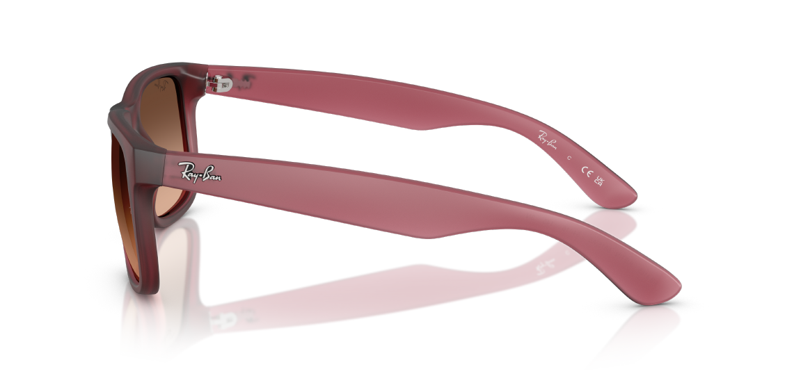 Солнцезащитные очки Ray-Ban Justin RB4165 6815A5