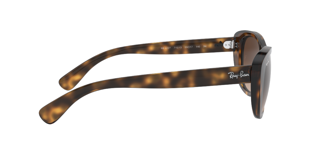 Солнцезащитные очки Ray-Ban RB4227 710/13