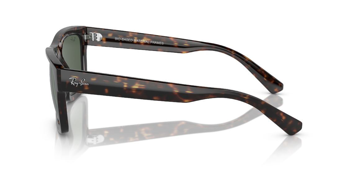 Солнцезащитные очки Ray-Ban Warren RB4396 135971