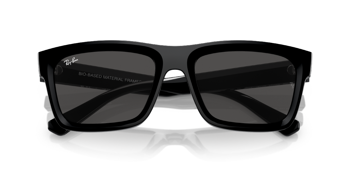 Солнцезащитные очки Ray-Ban Warren RB4396 667787
