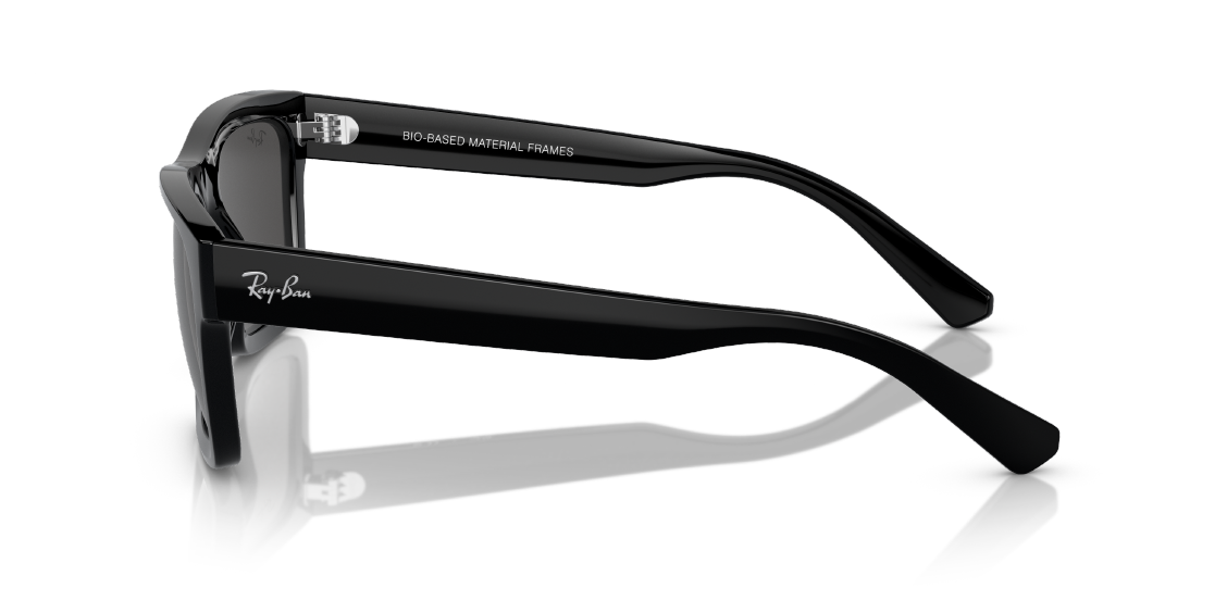 Солнцезащитные очки Ray-Ban Warren RB4396 667787