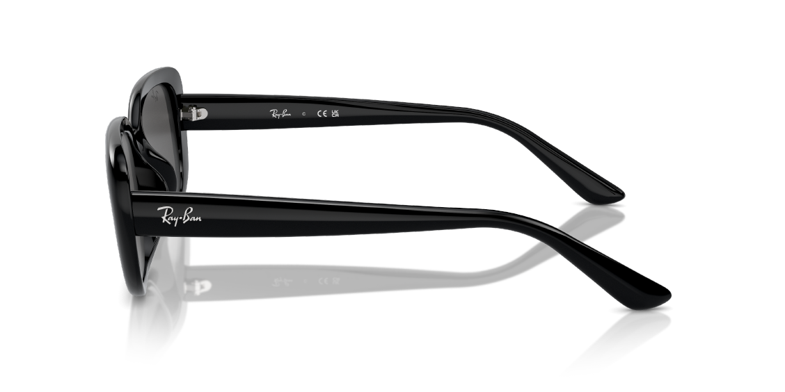 Солнцезащитные очки Ray-Ban RB4421D 667787