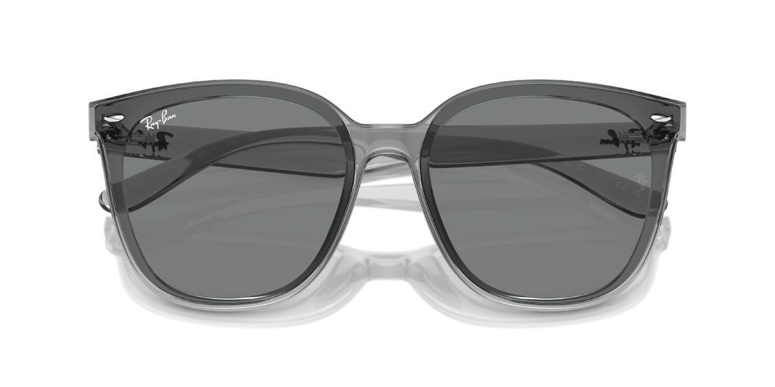 Солнцезащитные очки Ray-Ban RB4423D 645087