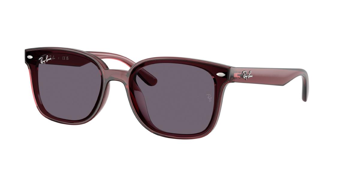 Солнцезащитные очки Ray-Ban RB4461D 659373