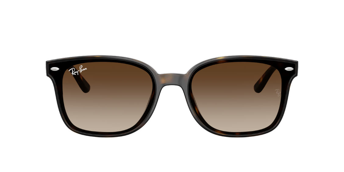 Солнцезащитные очки Ray-Ban RB4461D 710/13