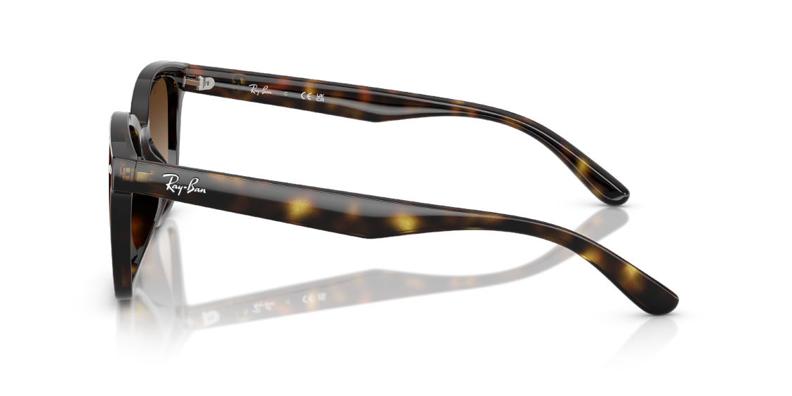 Солнцезащитные очки Ray-Ban RB4461D 710/13