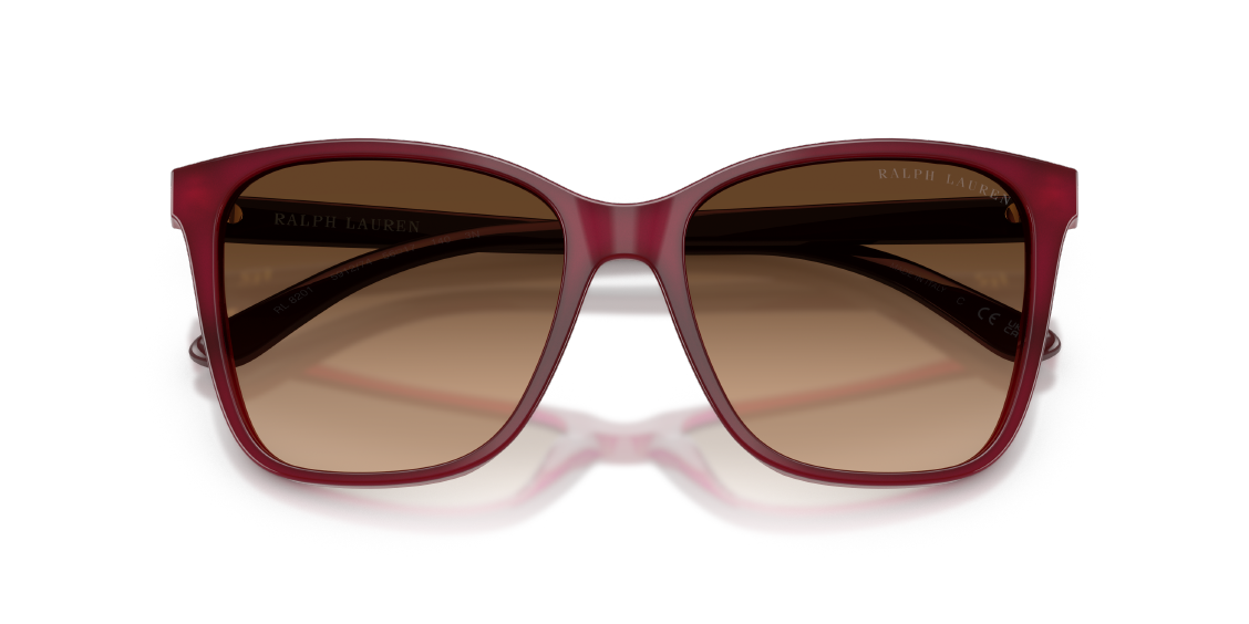 Солнцезащитные очки Ralph Lauren RL8201 591274