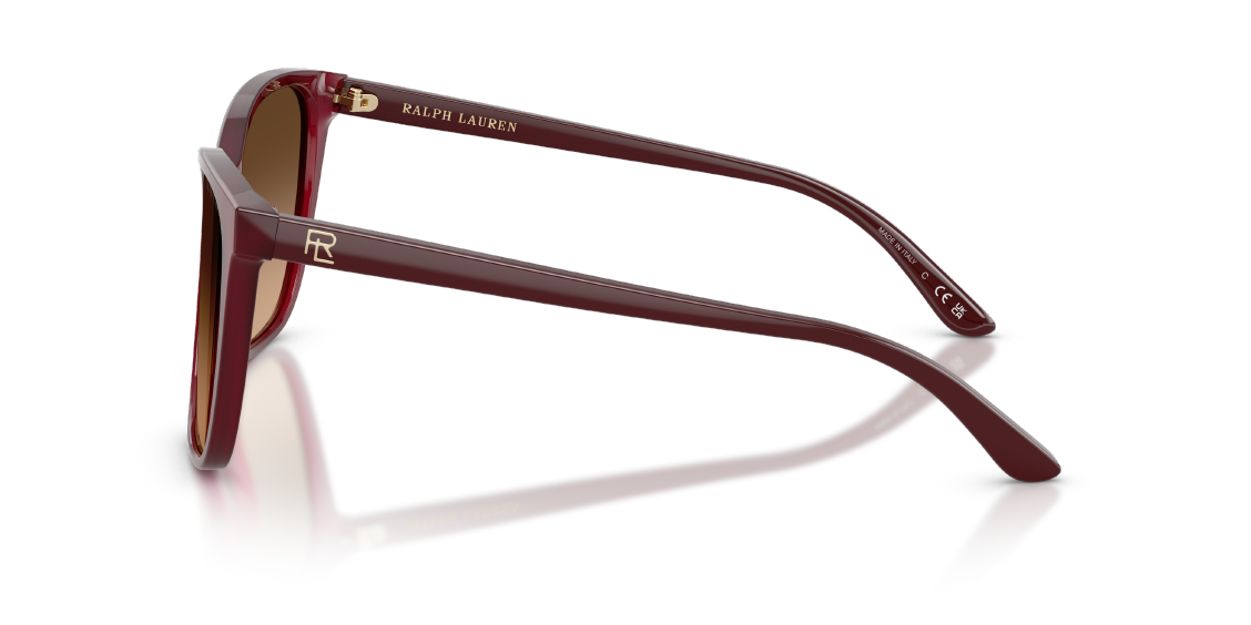 Солнцезащитные очки Ralph Lauren RL8201 591274