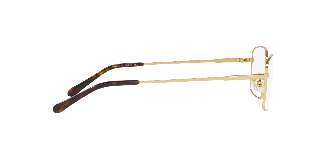 Оптическая оправа Sferoflex SF9005 3003