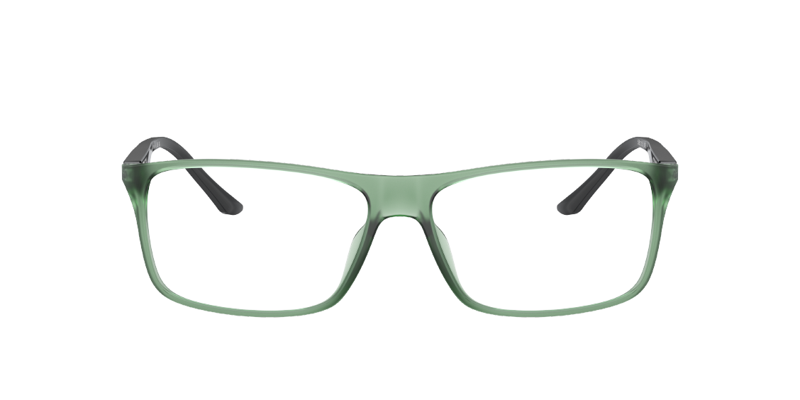 Оптическая оправа Starck PL1043 SH1043X 0040