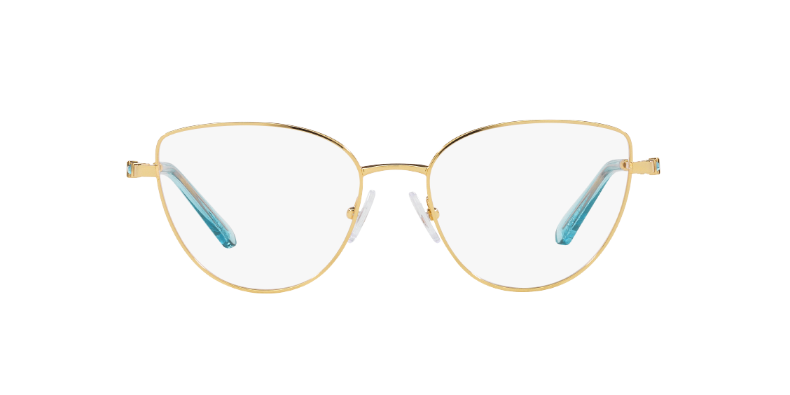 Оптическая оправа Swarovski SK1007 4021