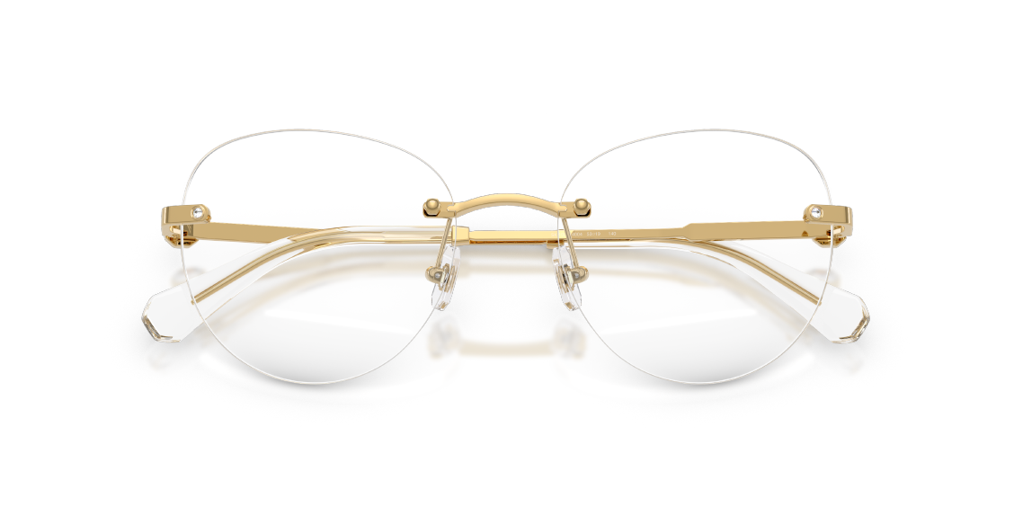 Оптическая оправа Swarovski SK1021 4004