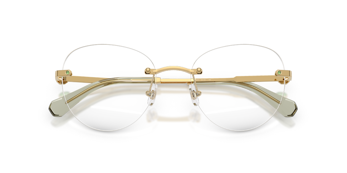 Оптическая оправа Swarovski SK1021 4017