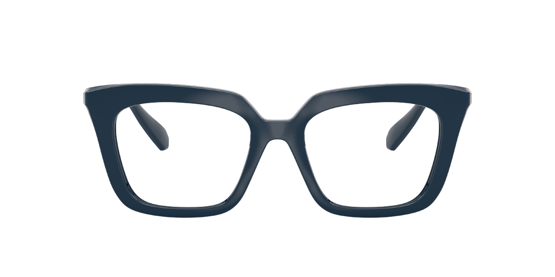 Оптическая оправа Swarovski SK2043 1004