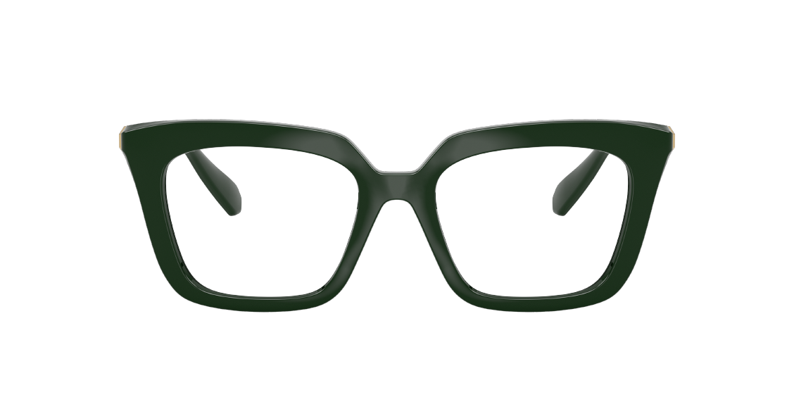 Оптическая оправа Swarovski SK2043 1026