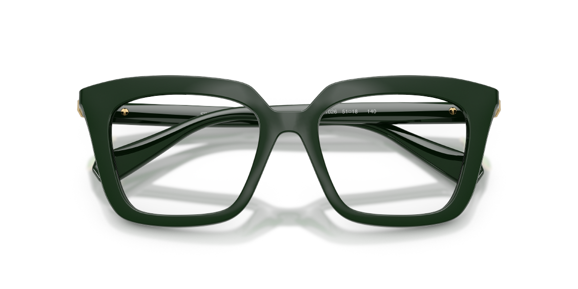 Оптическая оправа Swarovski SK2043 1026