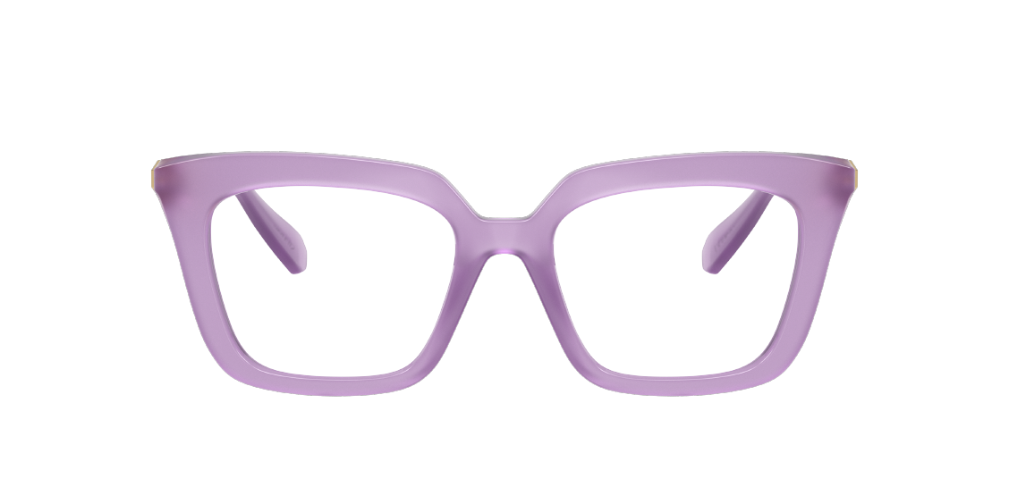 Оптическая оправа Swarovski SK2043 1075