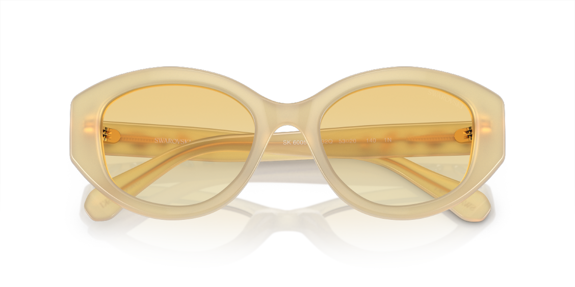 Солнцезащитные очки Swarovski SK6005 10232Q