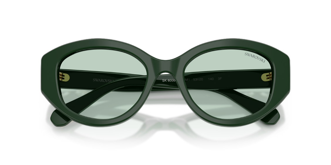 Солнцезащитные очки Swarovski SK6005 1026M1