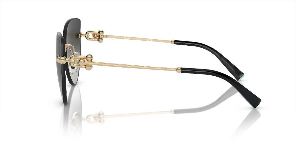 Солнцезащитные очки Tiffany & Co. TF3096 60213C